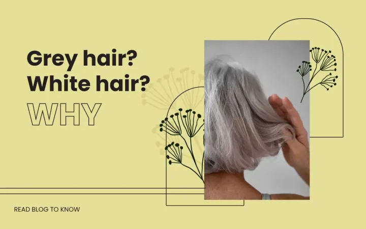 why-does-hair-turn-grey-or-white